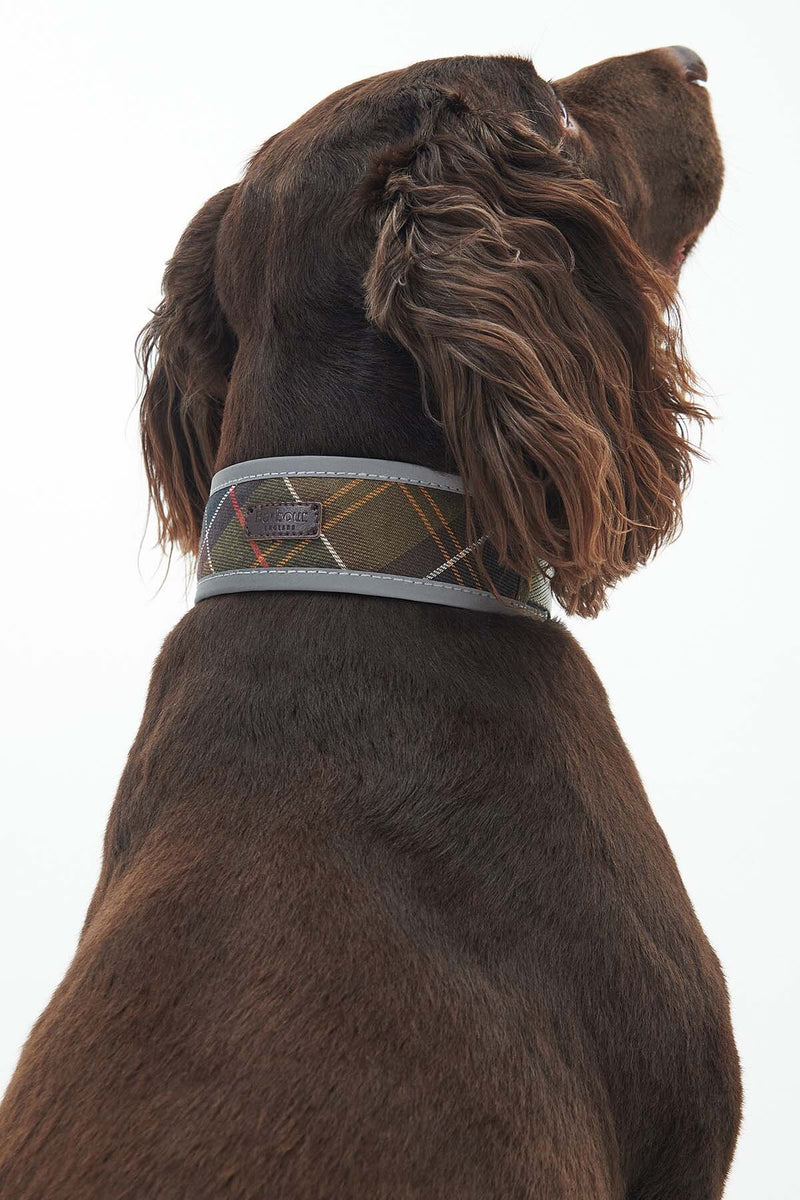 Reflective Tartan Comfort Collar