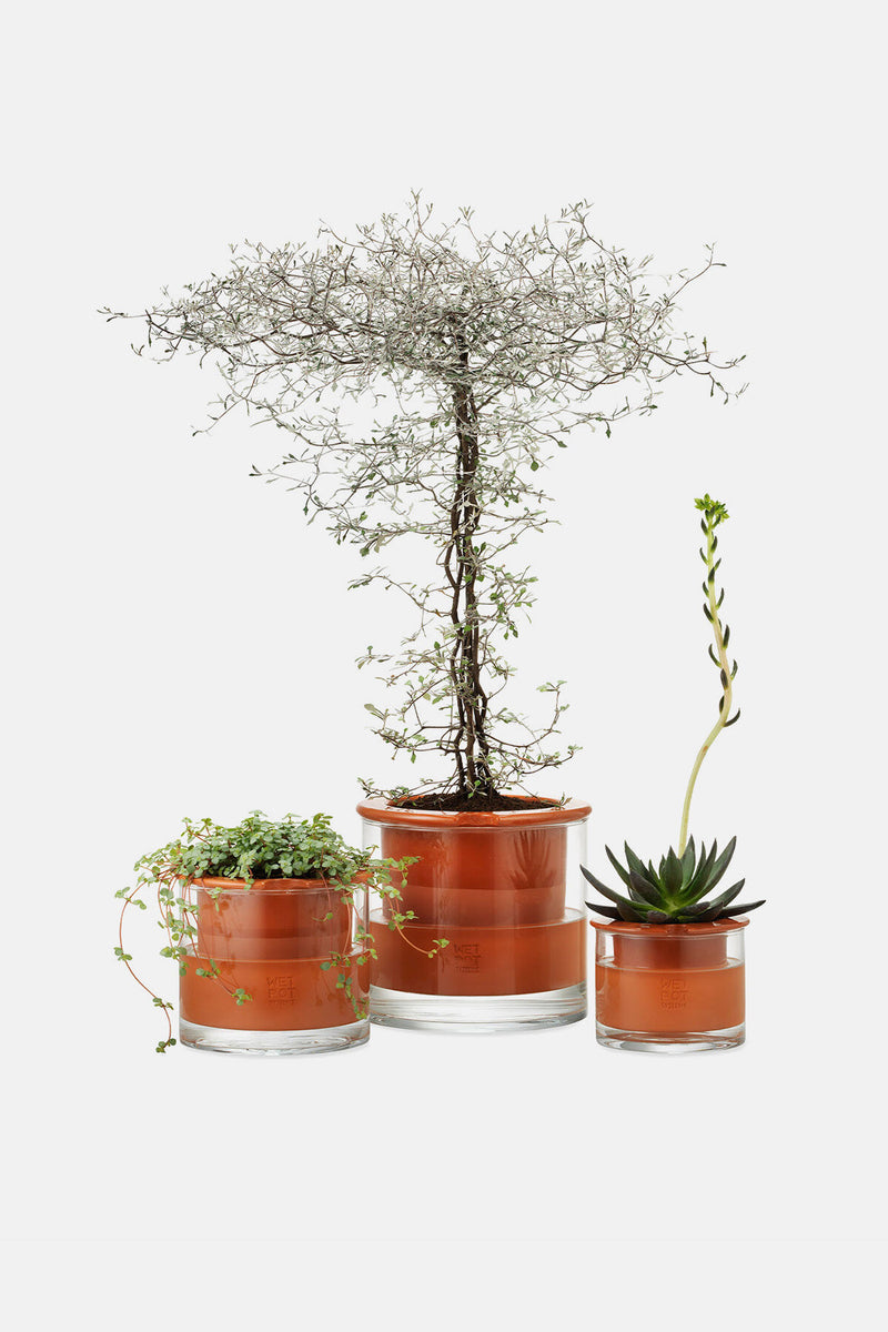 Self-Watering Wet Pots Extra Small